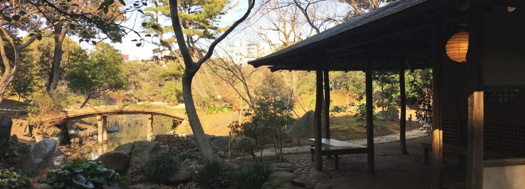 Experiencia Working Holiday