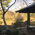 Experiencia Working Holiday