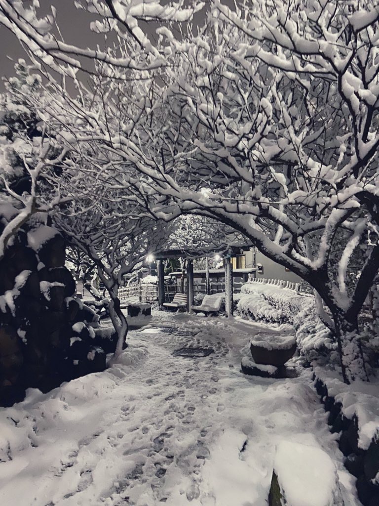 Nieve en Tokio