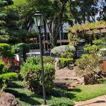 La inmigracion japonesa y la comunidad nikkei en Brasil