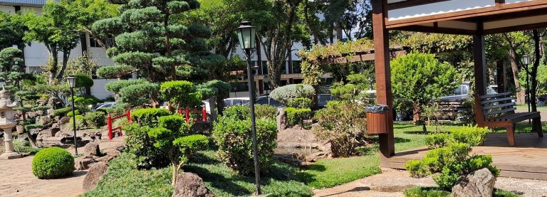 La inmigracion japonesa y la comunidad nikkei en Brasil