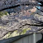 Consejos Viaje a Japón