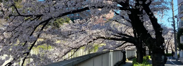 Consejos Viaje a Japón