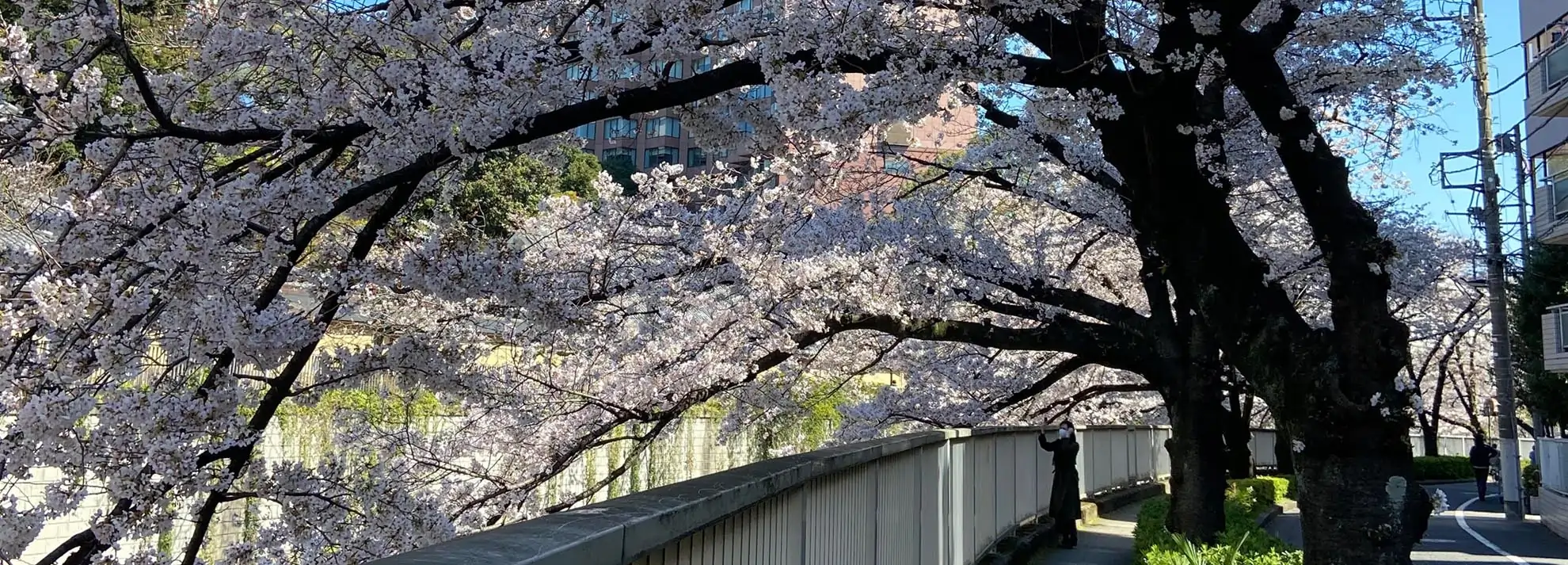 Consejos Viaje a Japón